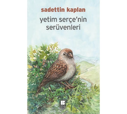 Yetim Serçe'nin Serüvenleri Yetim Serçe'nin Serüvenleri