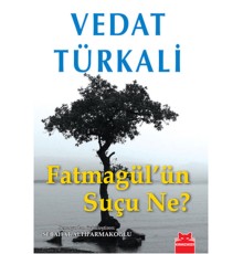 Fatmagül'ün Suçu Ne?