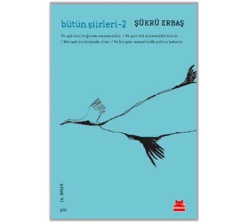 Bütün Şiirleri 2