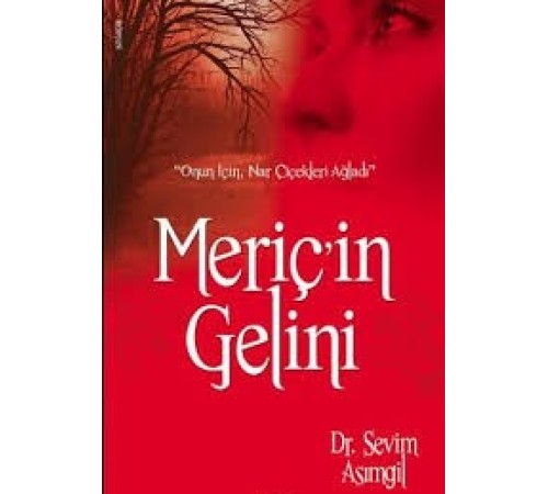 Meriç'in Gelini Meriç'in Gelini