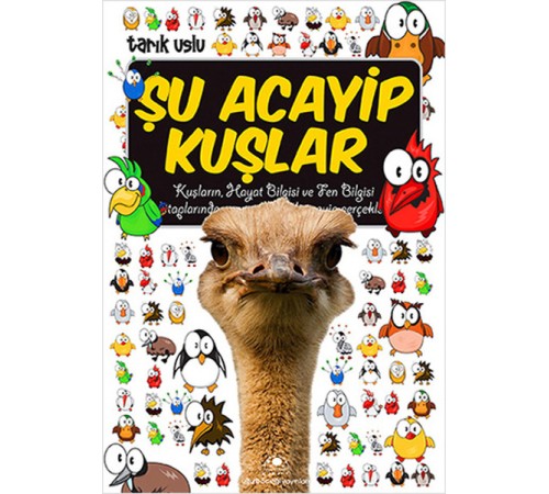 Şu Acayip Kuşlar