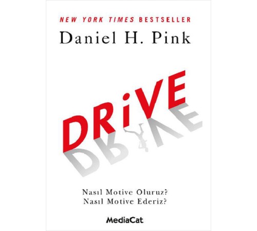 Drive  Nasıl Motive Oluruz? Nasıl Motive Ederiz?