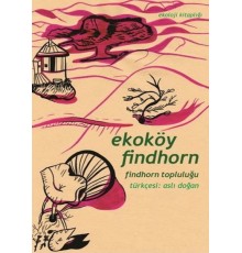 Ekoköy Findhorn Findhorn Topluluğu