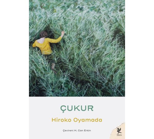 Çukur