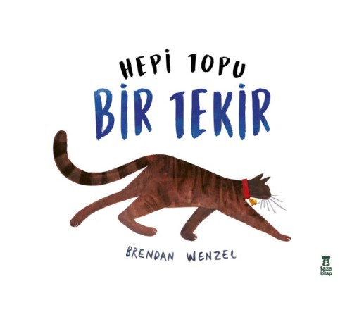 Hepi Topu Bir Tekir