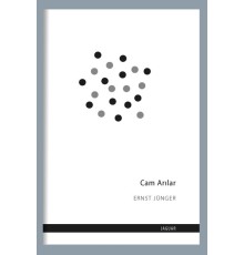 Cam Arılar