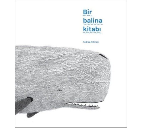 Bir Balina Kitabı