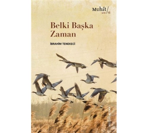 Belki Başka Zaman