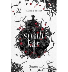 Siyah Kar