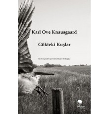 Gökteki Kuşlar