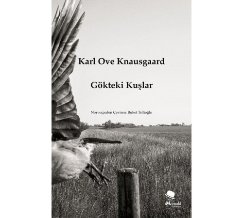 Gökteki Kuşlar