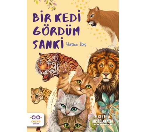 Bir Kedi Gördüm Sanki Bir Kedi Gördüm Sanki