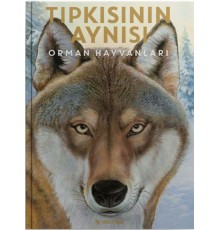 Tıpkısının Aynısı