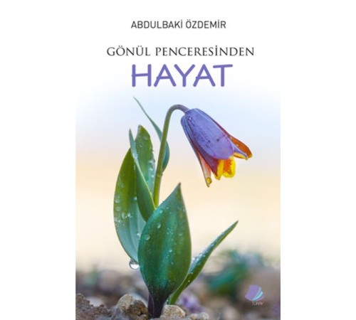 Gönül Penceresinden Hayat