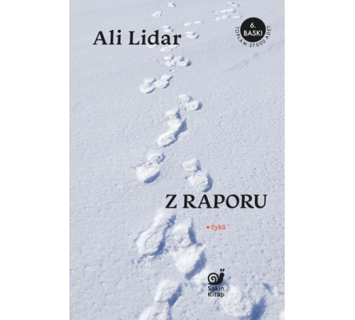 Z Raporu