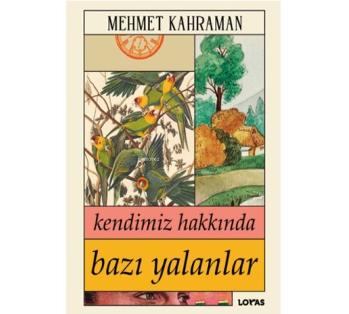 Kendimiz Hakkında Bazı Yalanlar