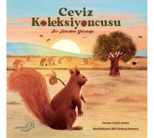 Ceviz Koleksiyoncusu Ceviz Koleksiyoncusu