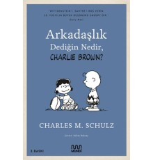 Arkadaşlık Dediğin Nedir, Charlie Brown?