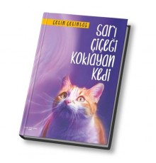 Sarı Çiçeği Koklayan Kedi