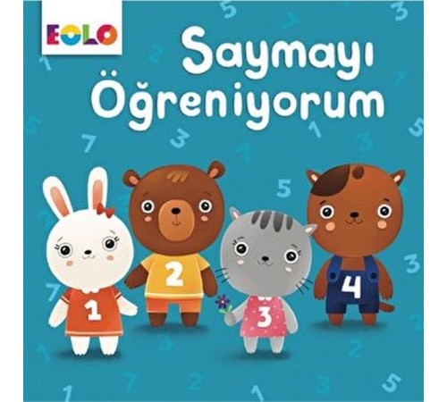 Karton Kitaplar-Saymayı Öğreniyorum