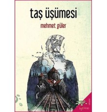 Taş Üşümesi