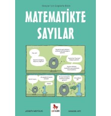 Matematikte Sayılar - Gençler İçin Çizgilerle Bilim