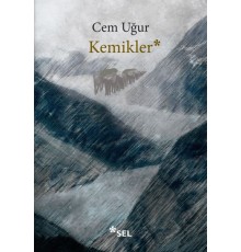 Kemikler
