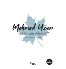 Yitik Bir Aşkın Gölgesinde