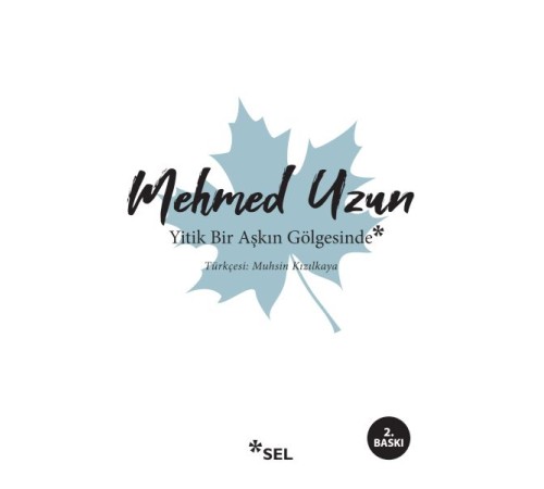 Yitik Bir Aşkın Gölgesinde Yitik Bir Aşkın Gölgesinde