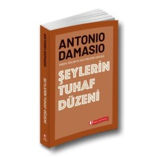 Şeylerin Tuhaf Düzeni