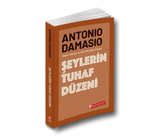 Şeylerin Tuhaf Düzeni