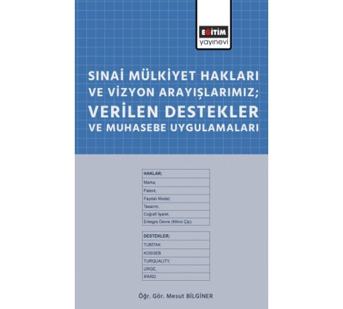 Sınai Mülkiyet Hakları ve Vizyon Arayışlarımız; Verilen Destekler ve Muhasebe Uygulamaları