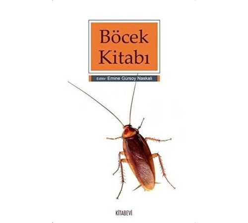 Böcek Kitabı