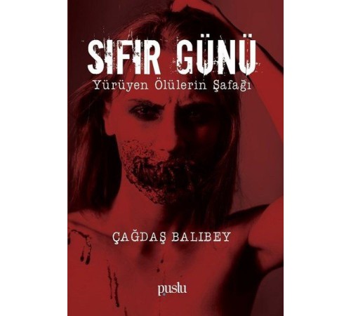 Sıfır Günü