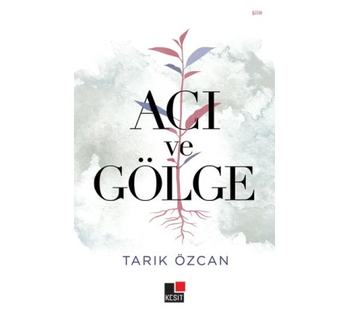 Acı ve Gölge