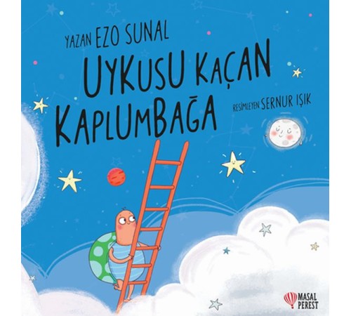 Uykusu Kaçan Kaplumbağa Uykusu Kaçan Kaplumbağa