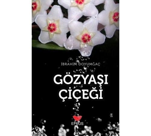 Gözyaşı Çiçeği Gözyaşı Çiçeği
