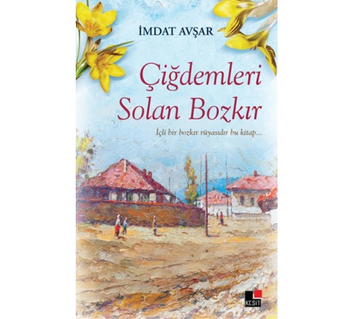Çiğdemleri Solan Bozkır Çiğdemleri Solan Bozkır