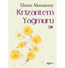 Krizantem Yağmuru