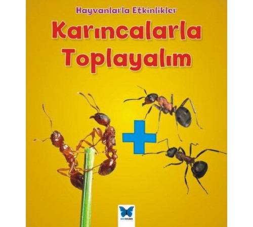 Hayvanlarla Etkinlikler - Karıncalarla Toplayalım Hayvanlarla Etkinlikler - Karıncalarla Toplayalım
