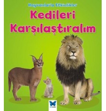 Hayvanlarla Etkinlikler - Kedileri Karşılaştıralım