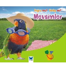 Mevsimler / Doğru mu Yanlış mı?
