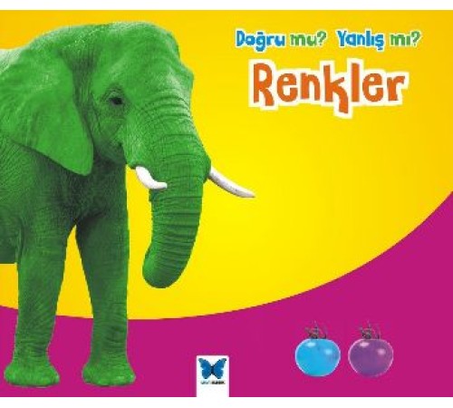 Renkler / Doğru mu Yanlış mı?