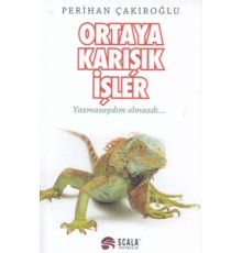 Ortaya Karışık İşler