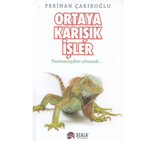 Ortaya Karışık İşler
