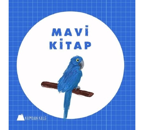 Mavi Kitap