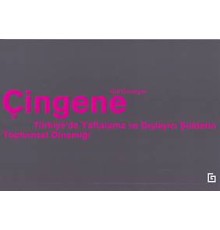 Çingene - Türkiyede Yaftalama ve Dışlayıcı Şiddetin Toplumsal Dinamiği