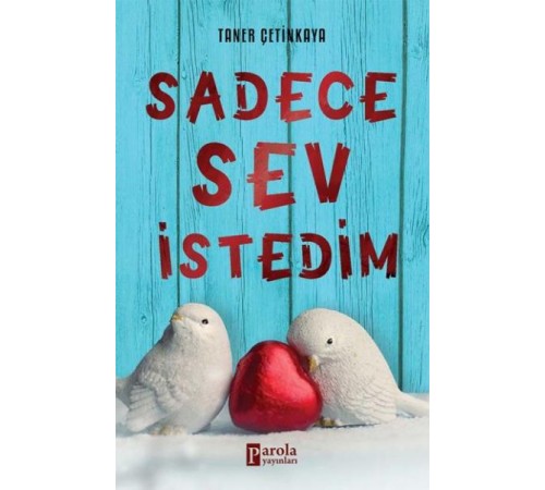 Sadece Sev İstedim