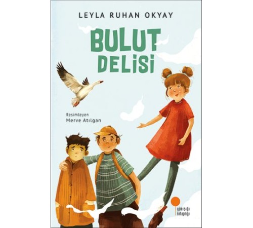 Bulut Delisi Bulut Delisi