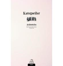 Kategoriler